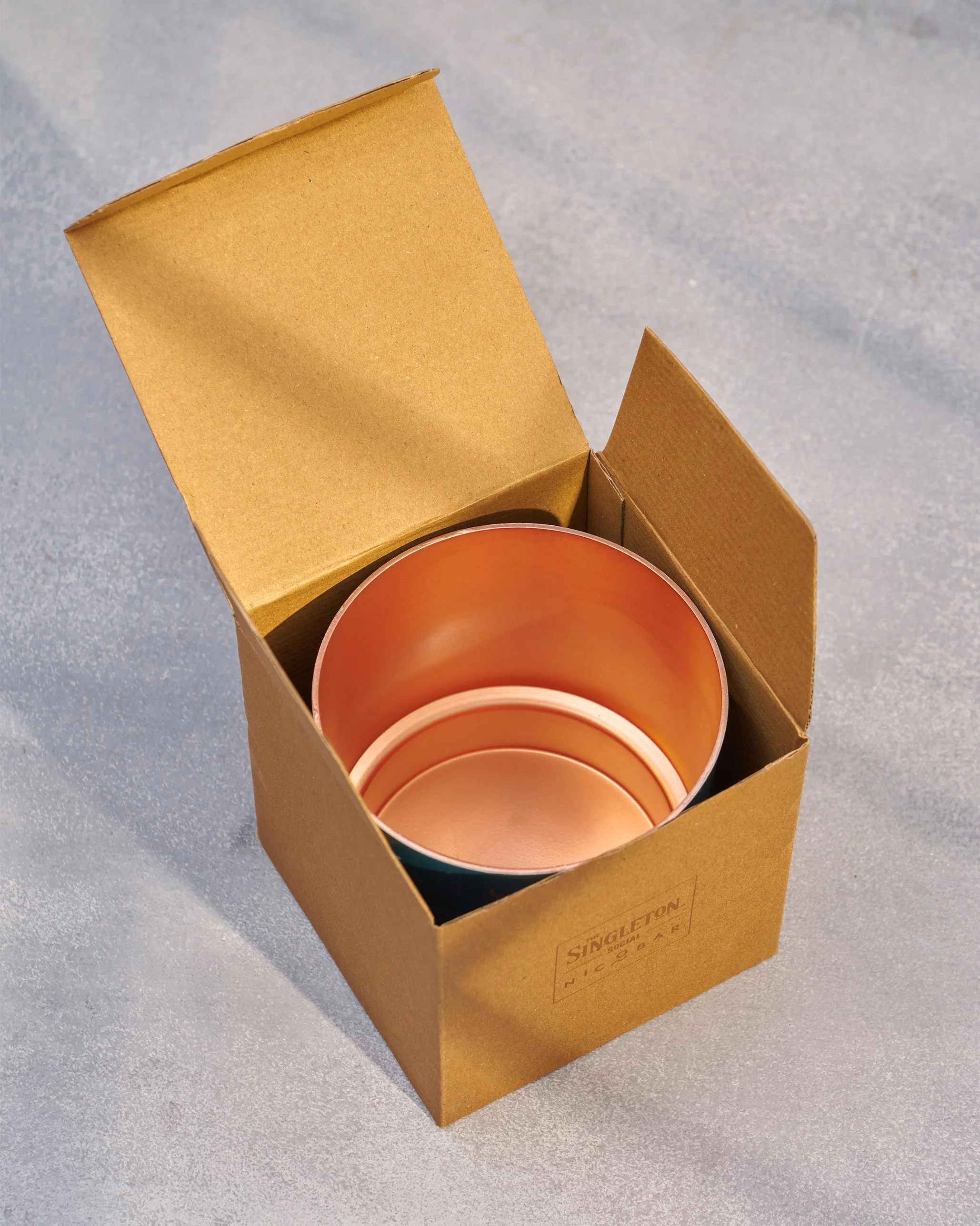 Pacific Planter - TSSxNB - Image 2