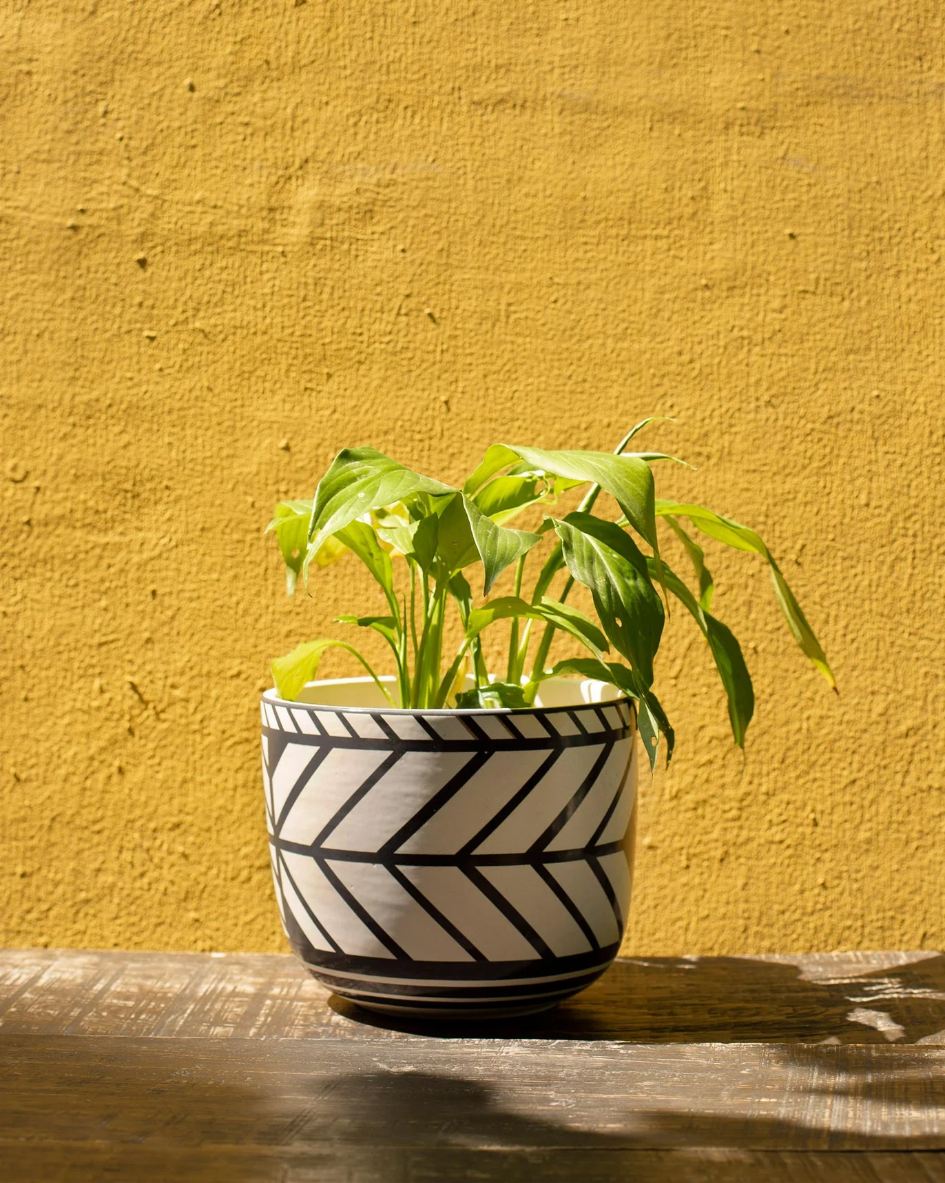 Palar Vase - Image 3