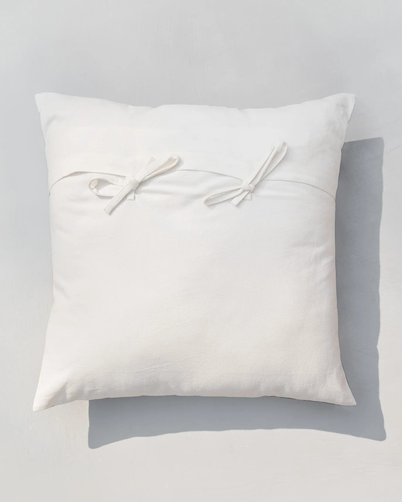 Palash Tota Cushion Cover - Image 2