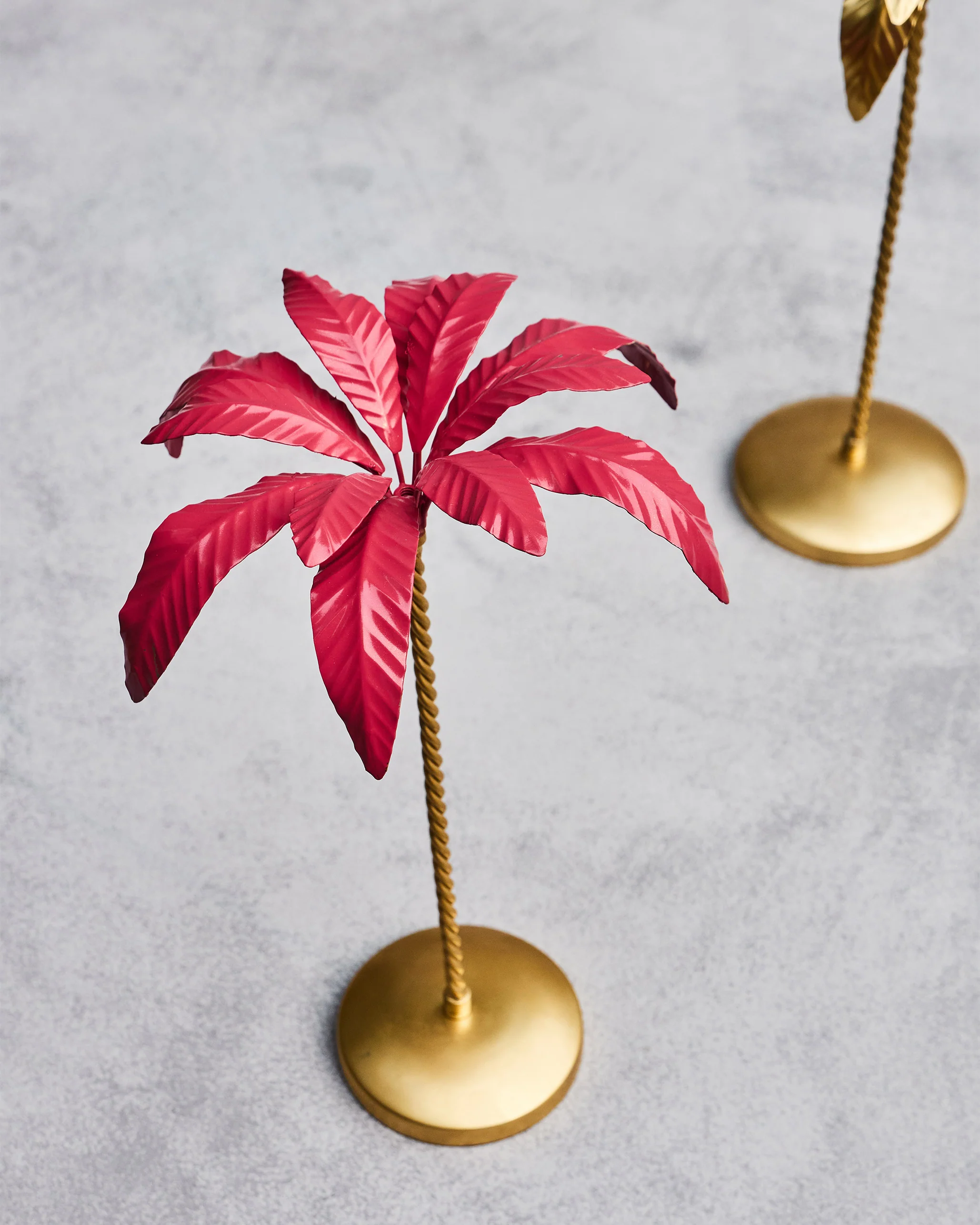 Palm Breeze Home Accent - Image 5