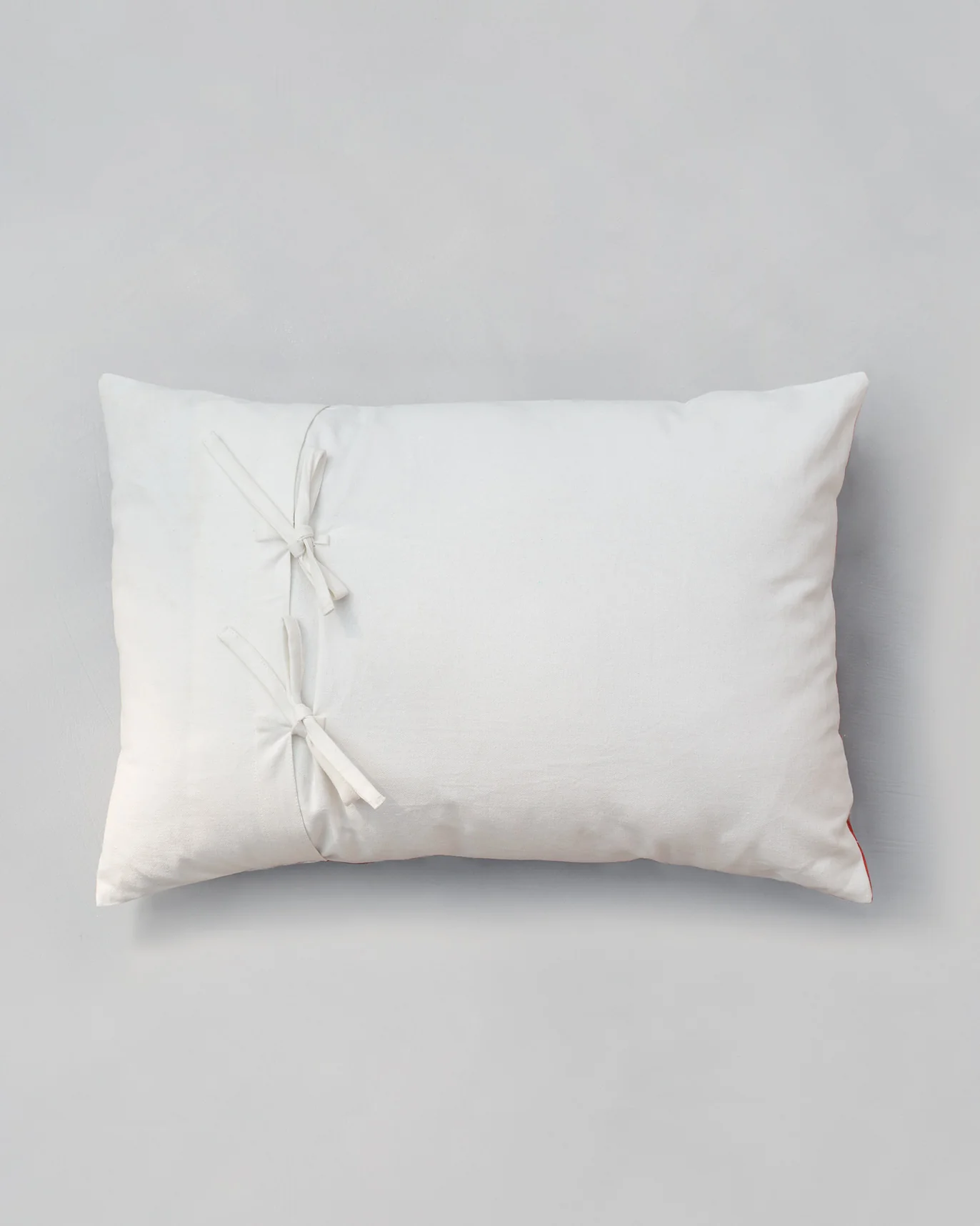 Parrot Lota Cushion Cover - Image 2