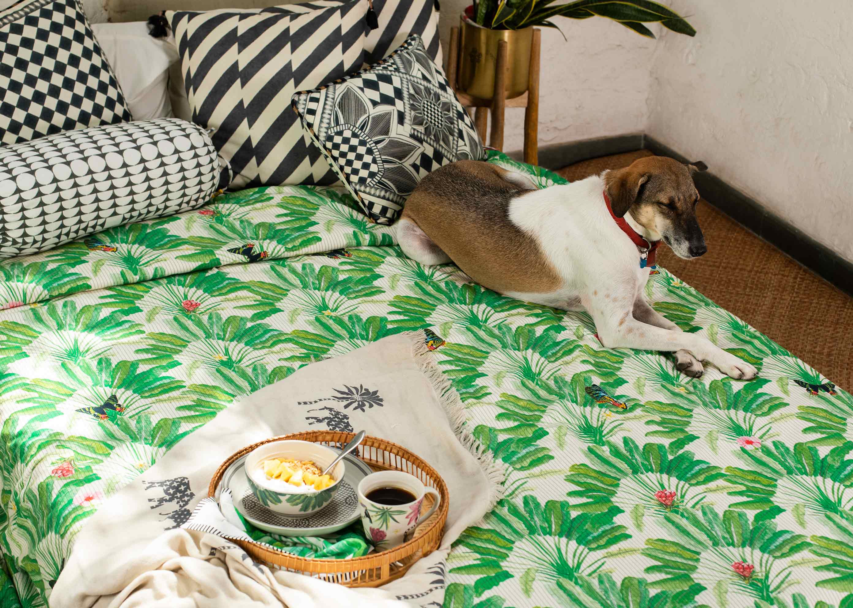 Ravenala Bed Cover - Queen - Image 3