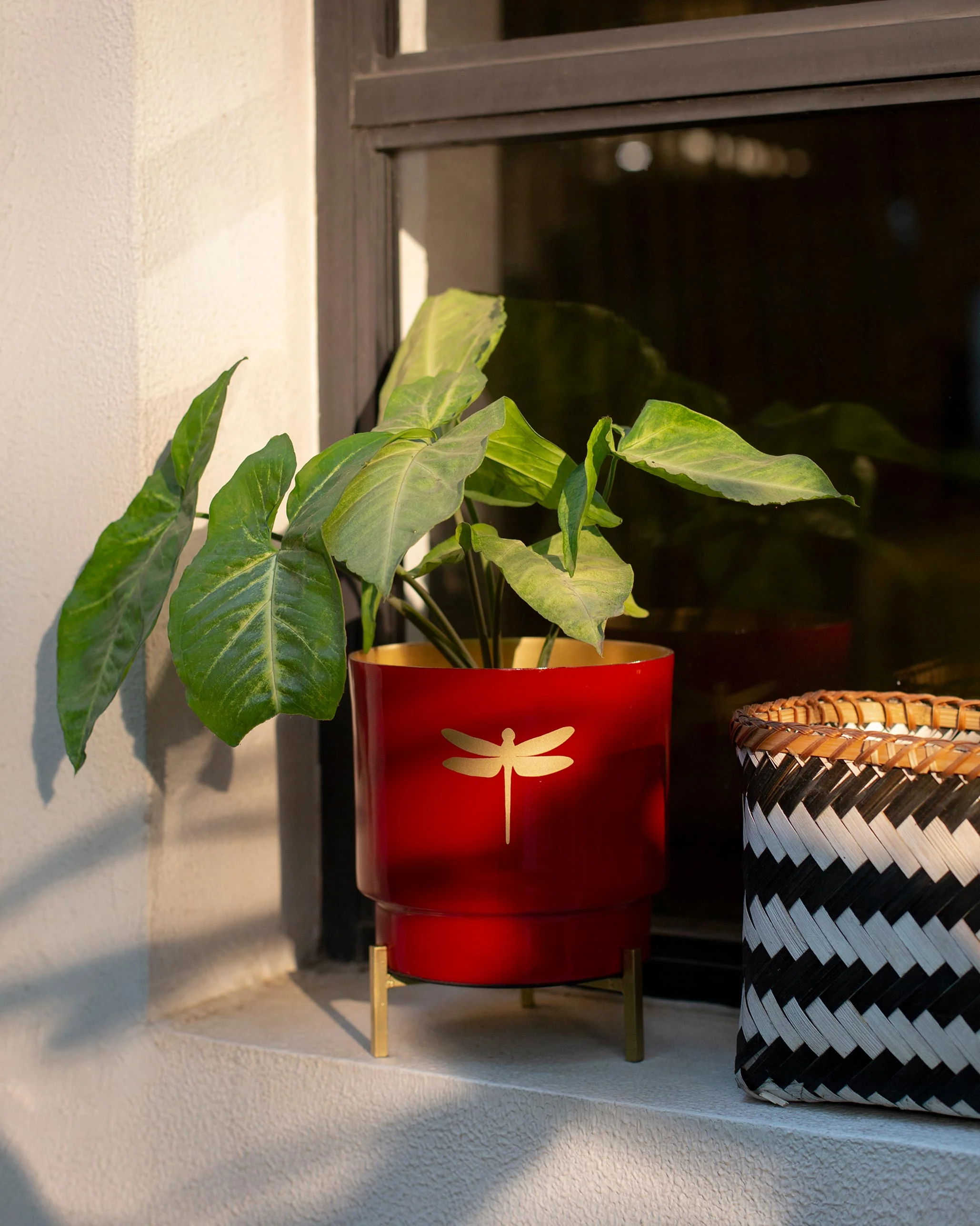 Ruby Dragonfly Planter - Image 2