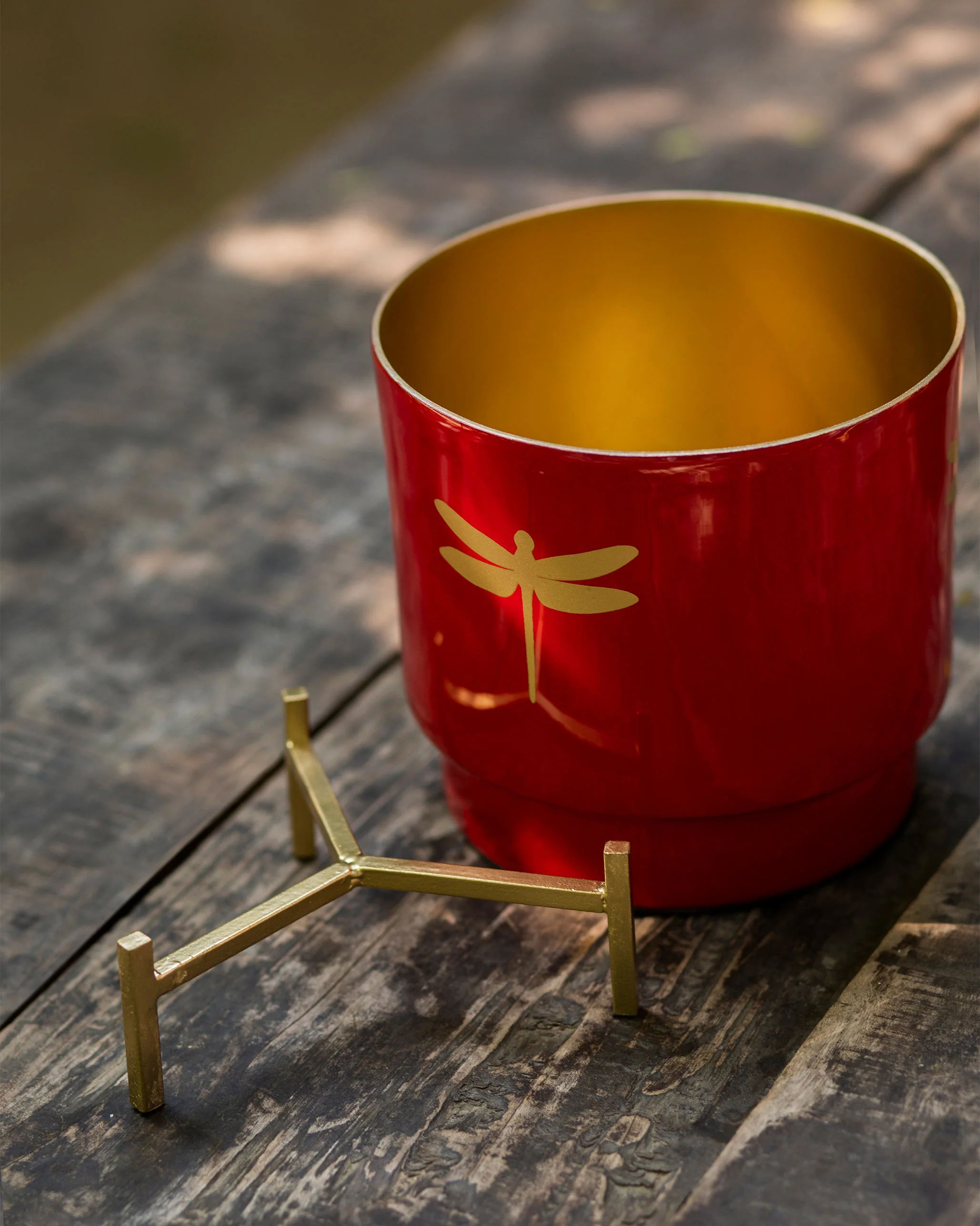 Ruby Dragonfly Planter - Image 4