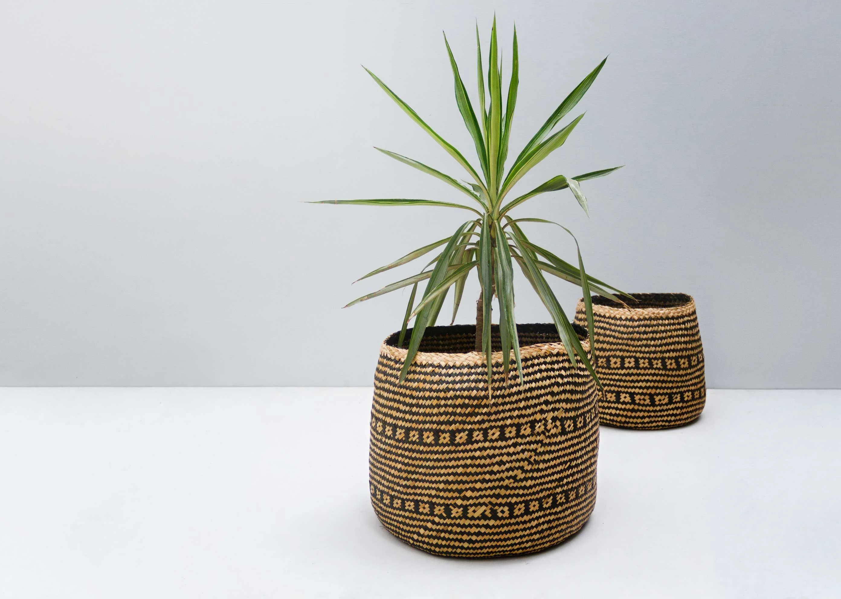 Sagara Keep-All Basket - Medium - Image 3