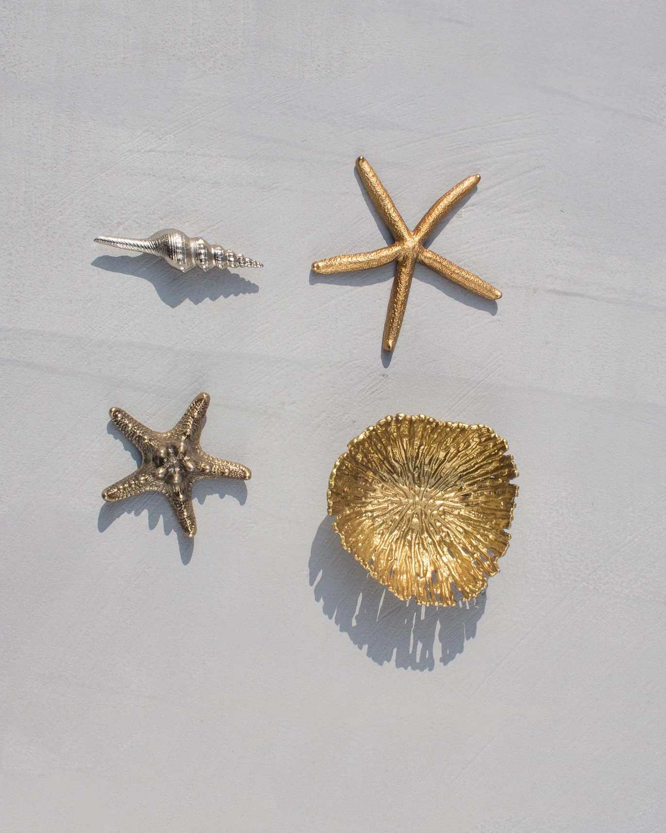 Sea Shells (Set of 4) - Image 2