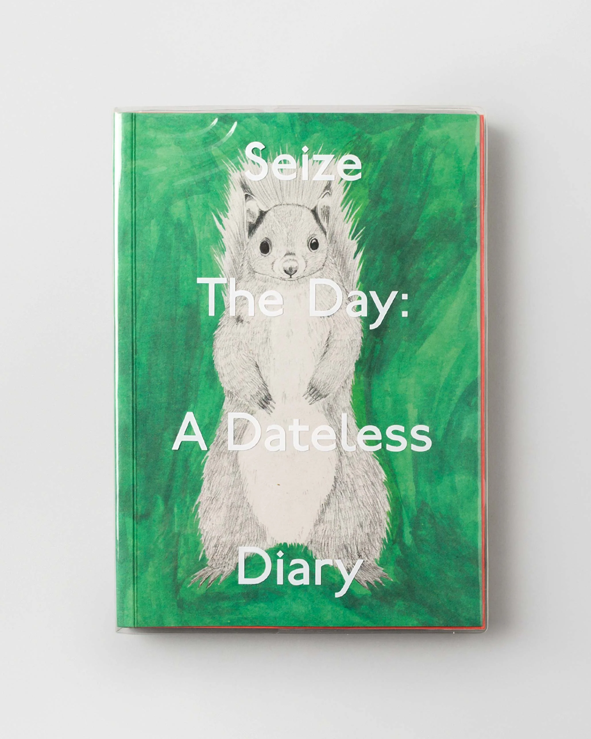 Seize the Day: A Dateless Planner (Diary) - Image 3