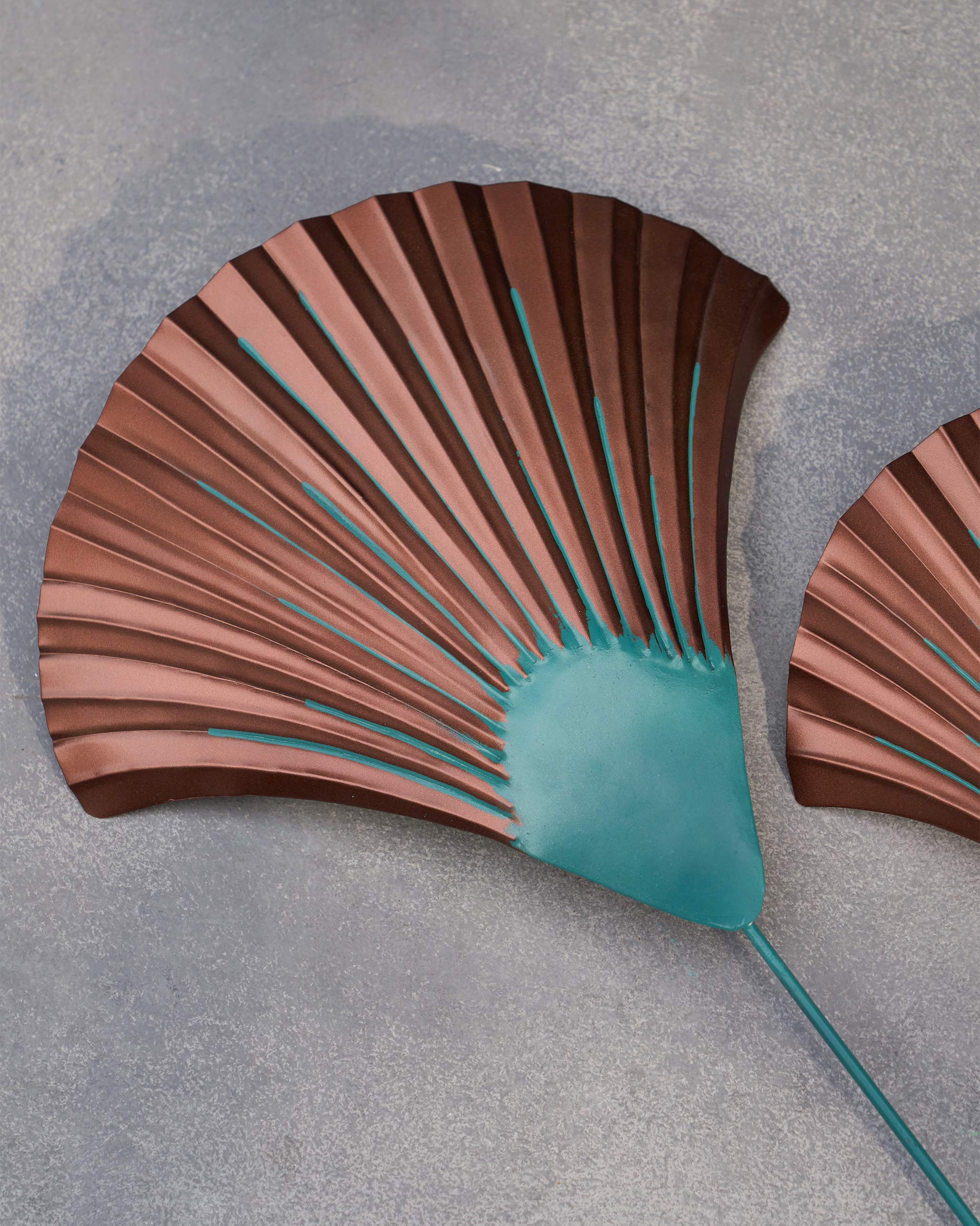 Shell Home Accent (Set of 2) - TSSxNB - Image 4