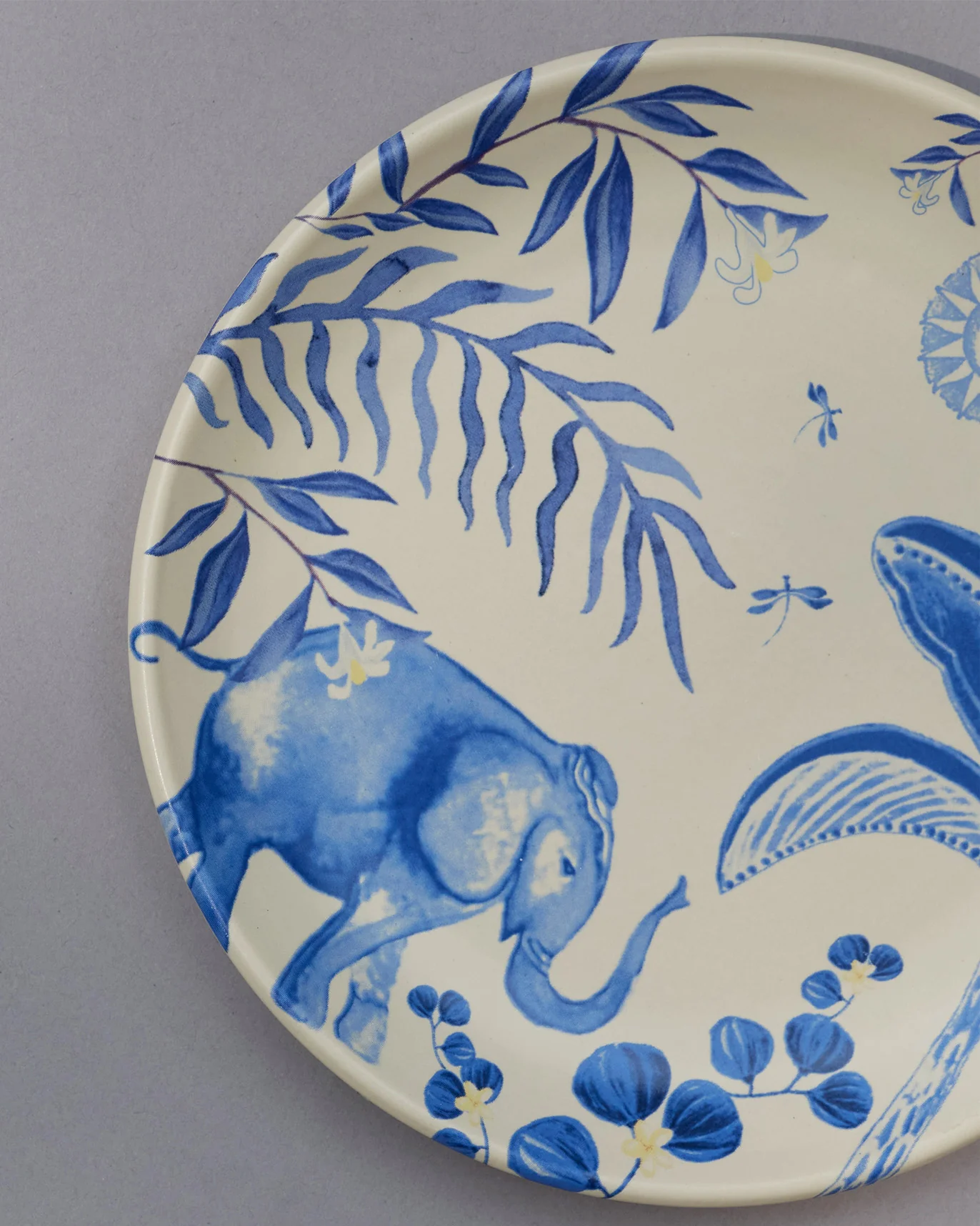 Sinar Quarter Plate - Image 2