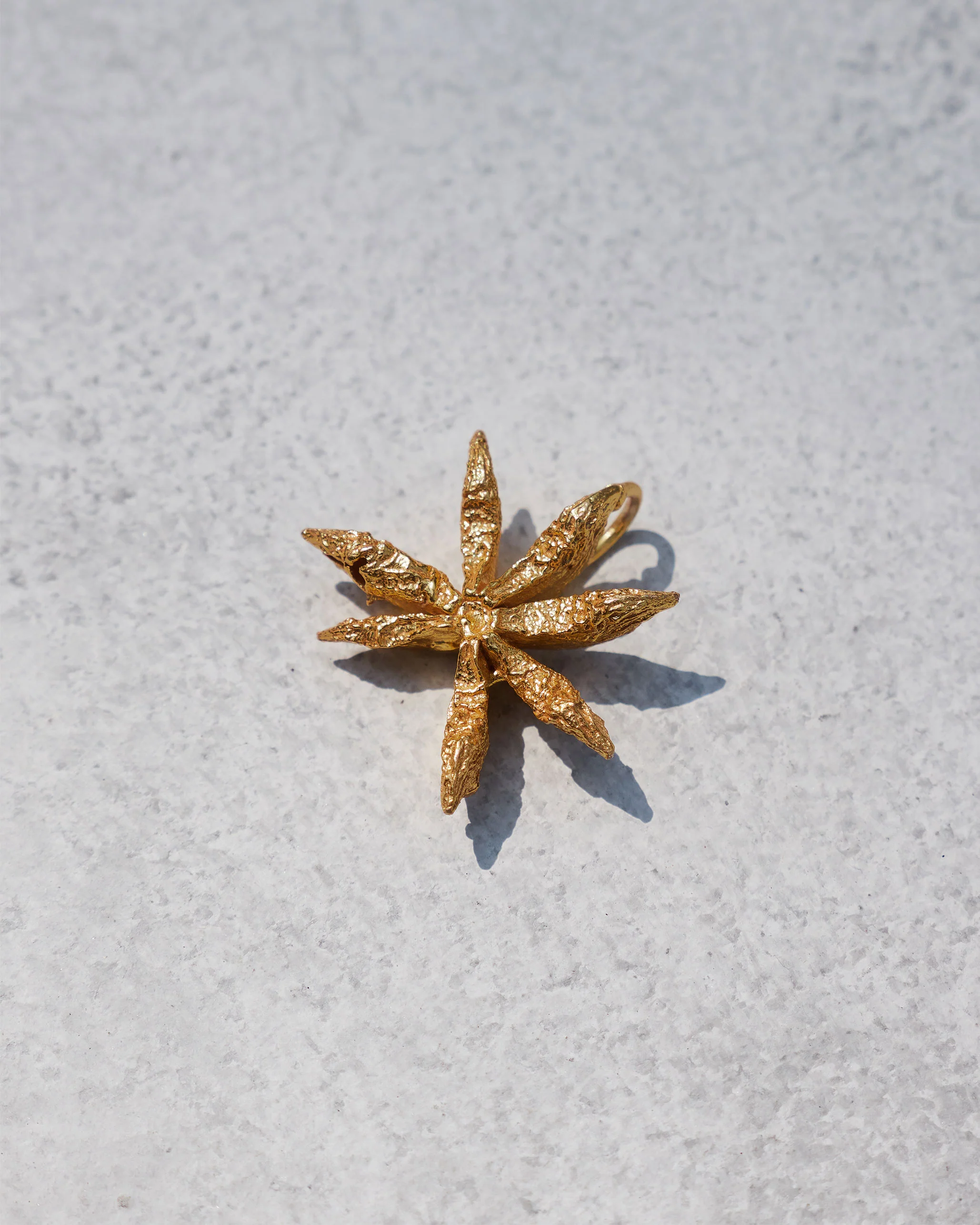 Star Anise Charm (Large) - Image 5