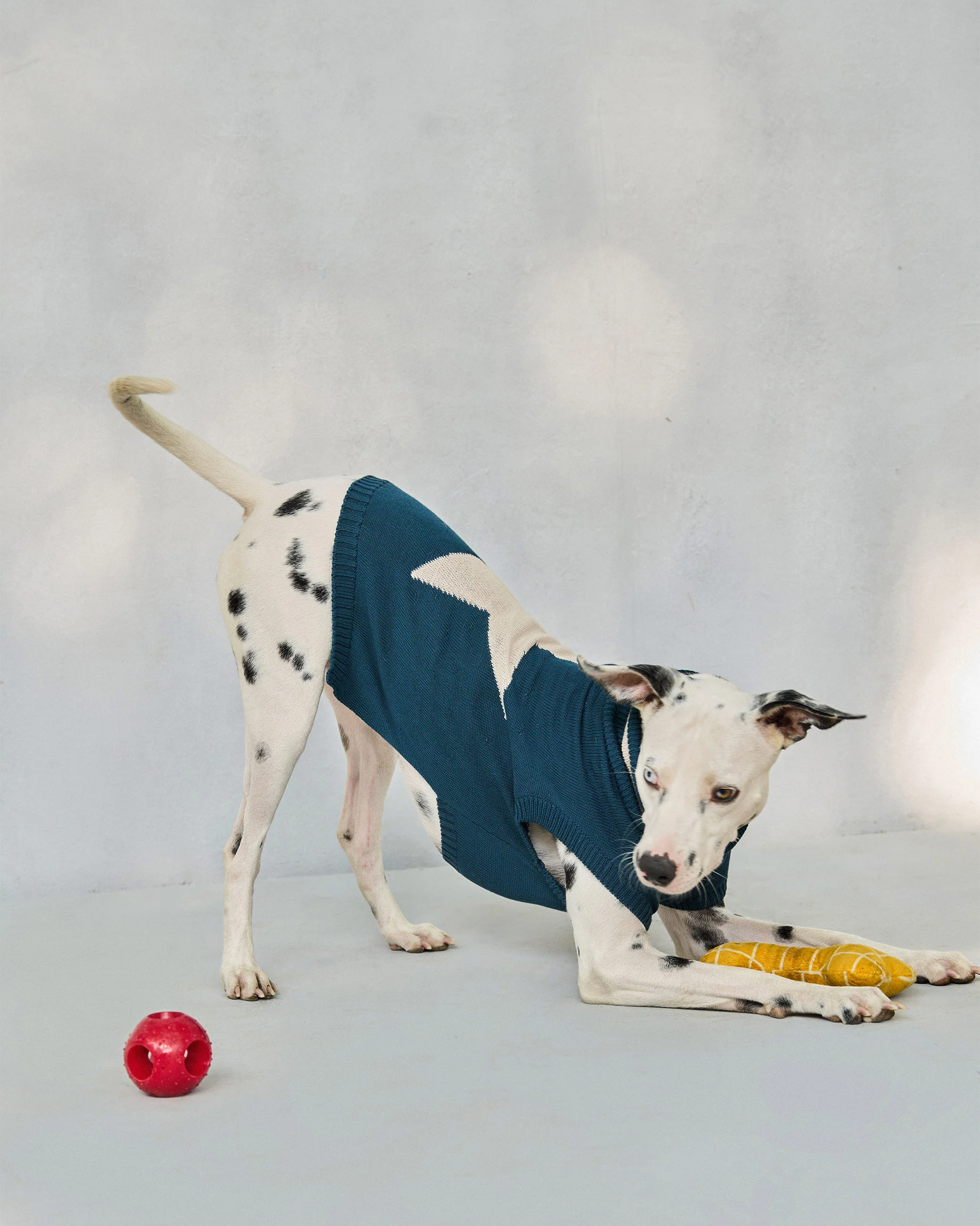 Star Snug Dog Sweater - Teal & Oatmeal - Image 2