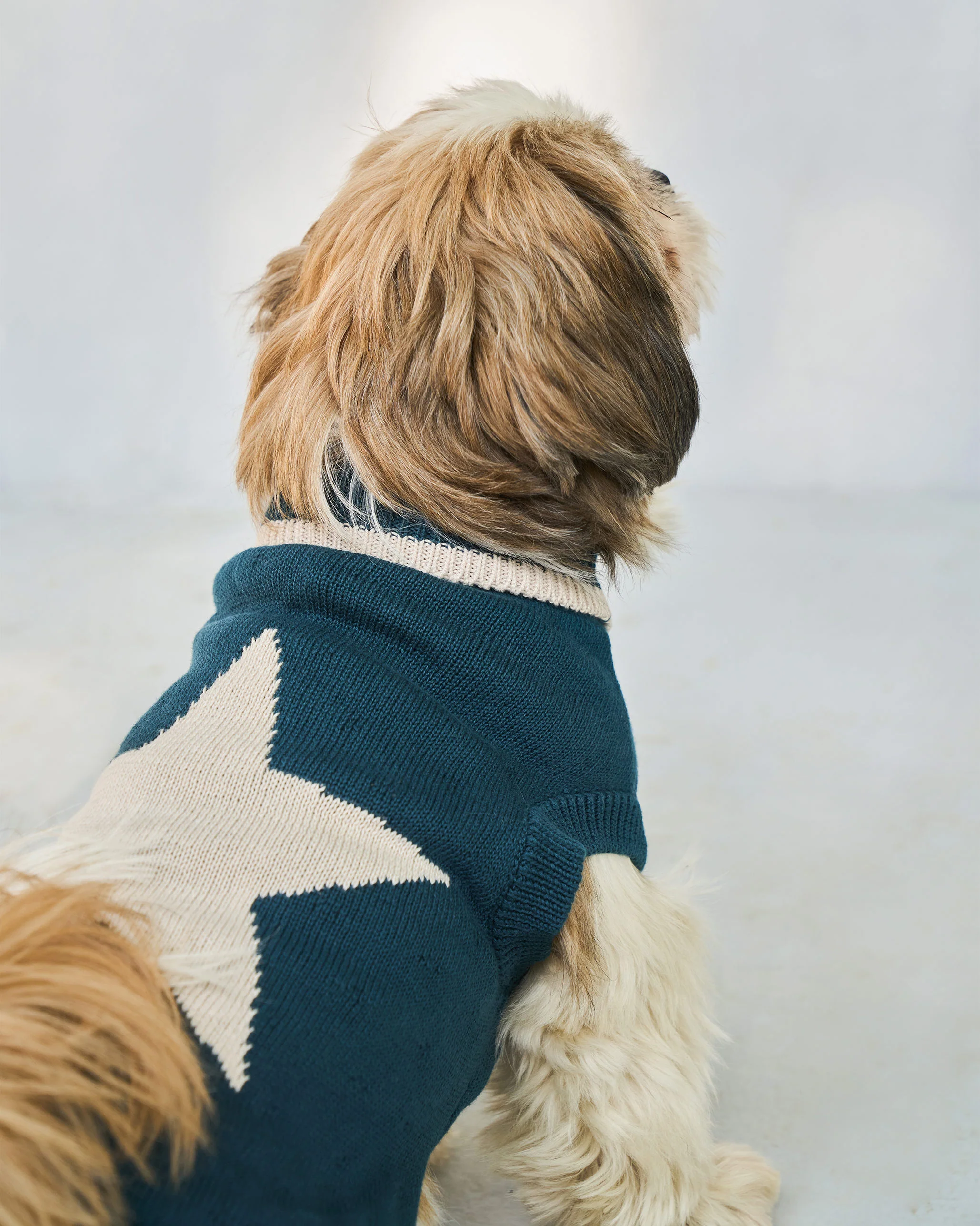 Star Snug Dog Sweater - Teal & Oatmeal - Image 3