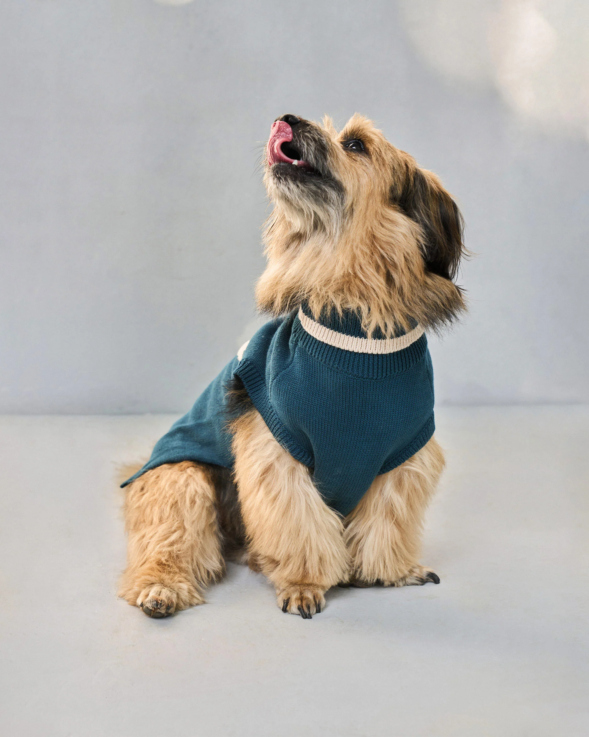 Star Snug Dog Sweater - Teal & Oatmeal - Image 4