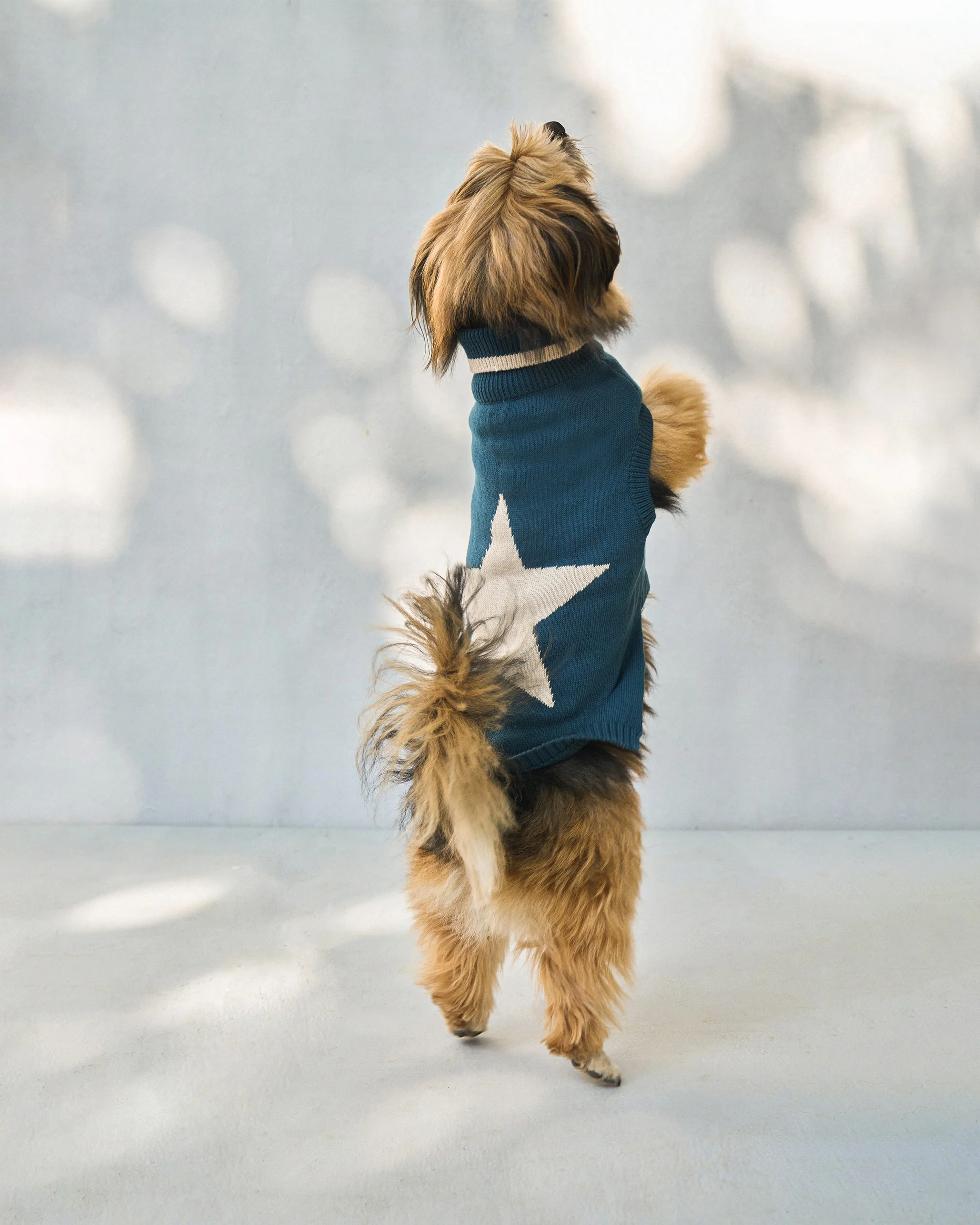 Star Snug Dog Sweater - Teal & Oatmeal - Image 5