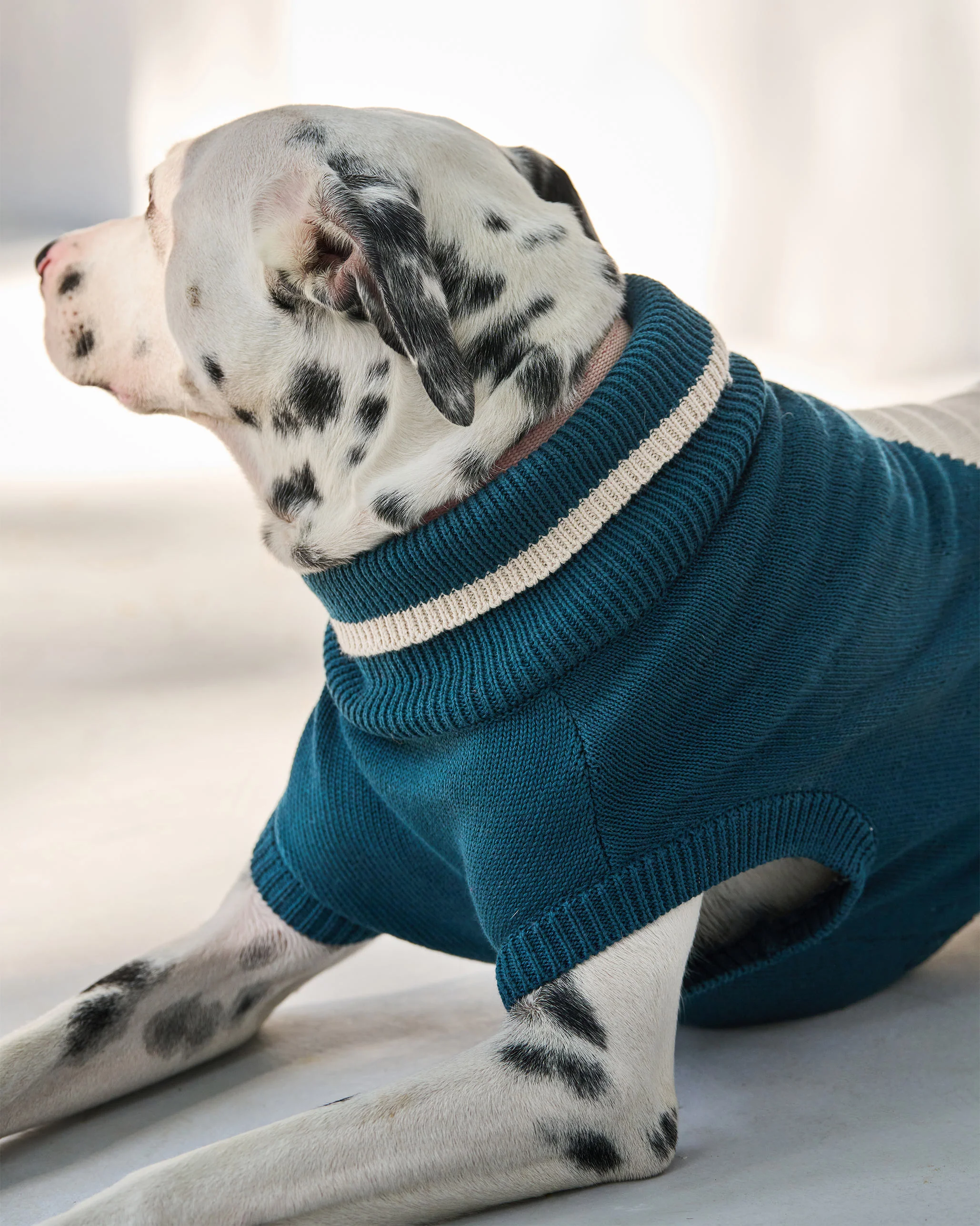 Star Snug Dog Sweater - Teal & Oatmeal - Image 6