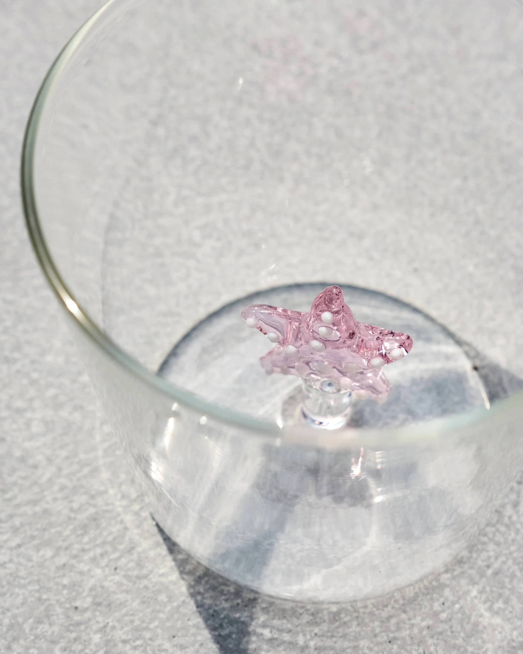 Starfish Glass - Image 4