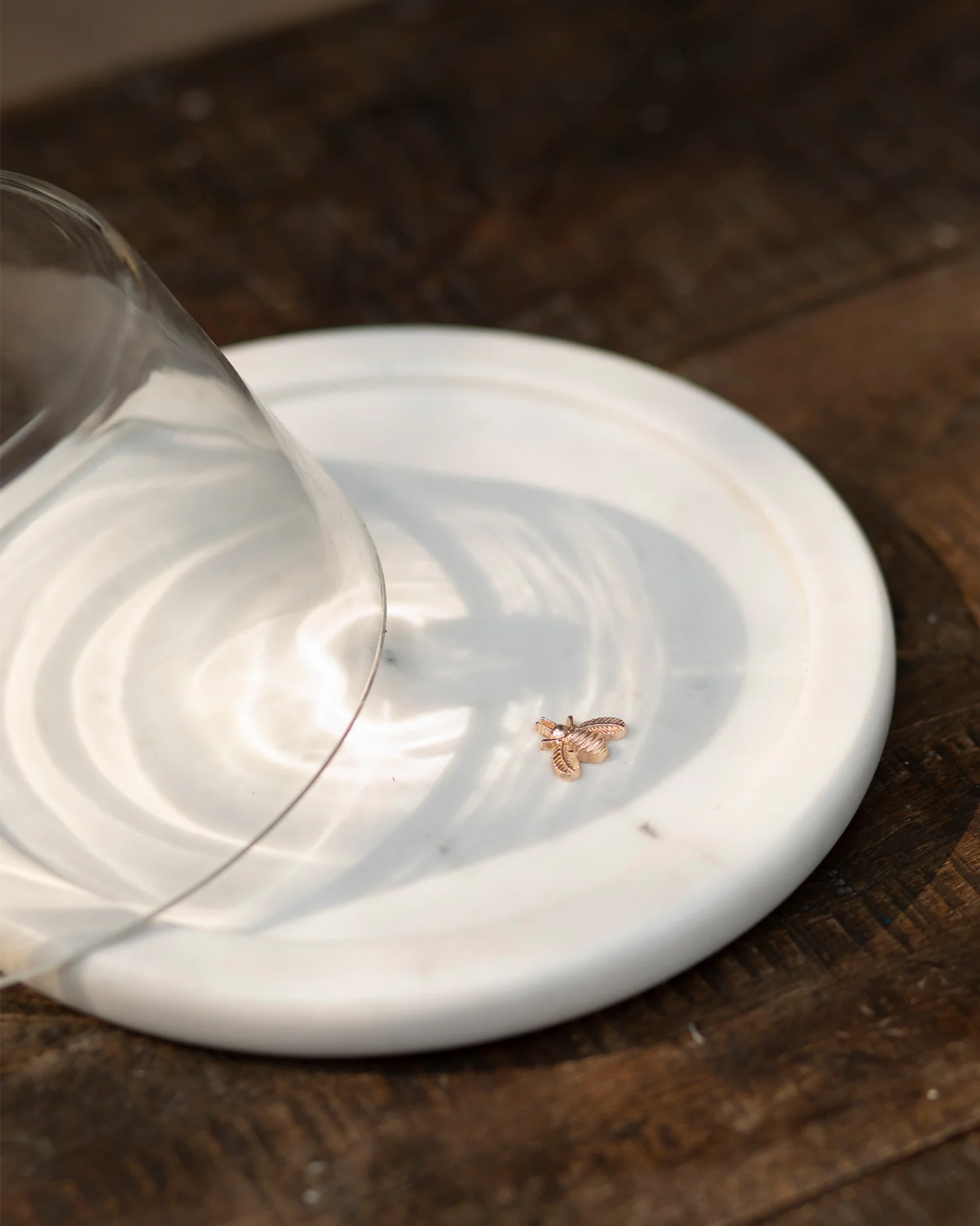 Teesta Cheese Cloche - Image 2