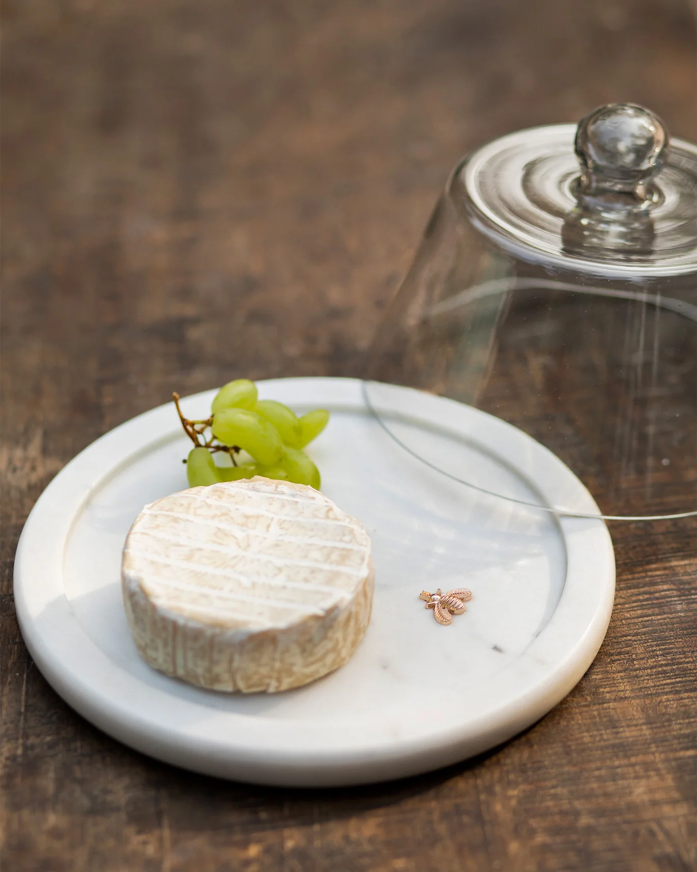 Teesta Cheese Cloche - Image 3