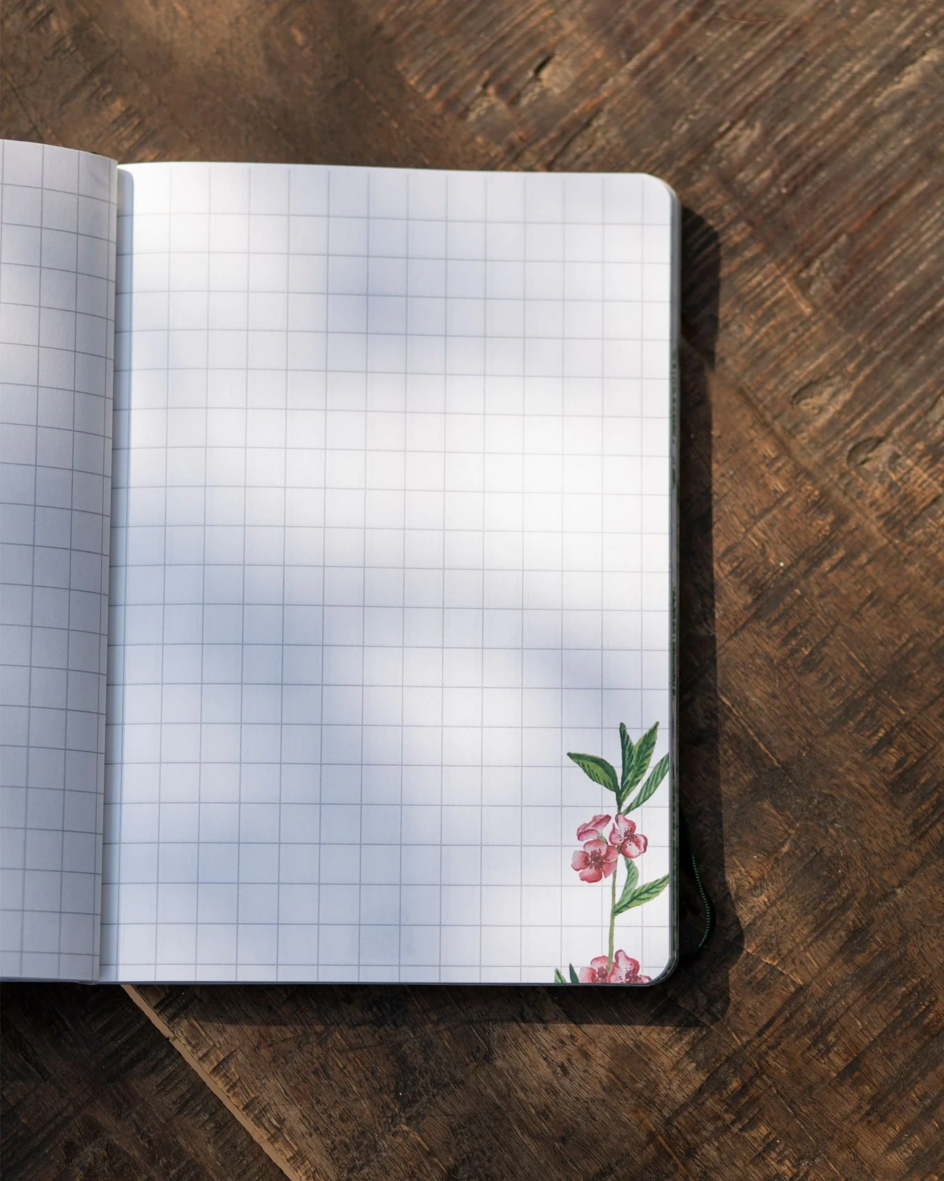The Mangrove Journal - Image 3