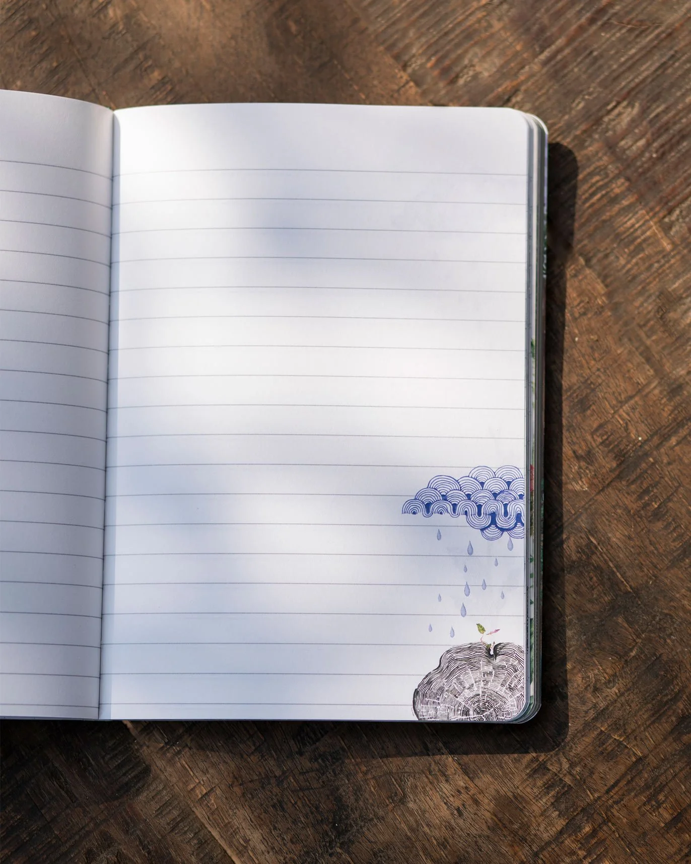 The Mangrove Journal - Image 4