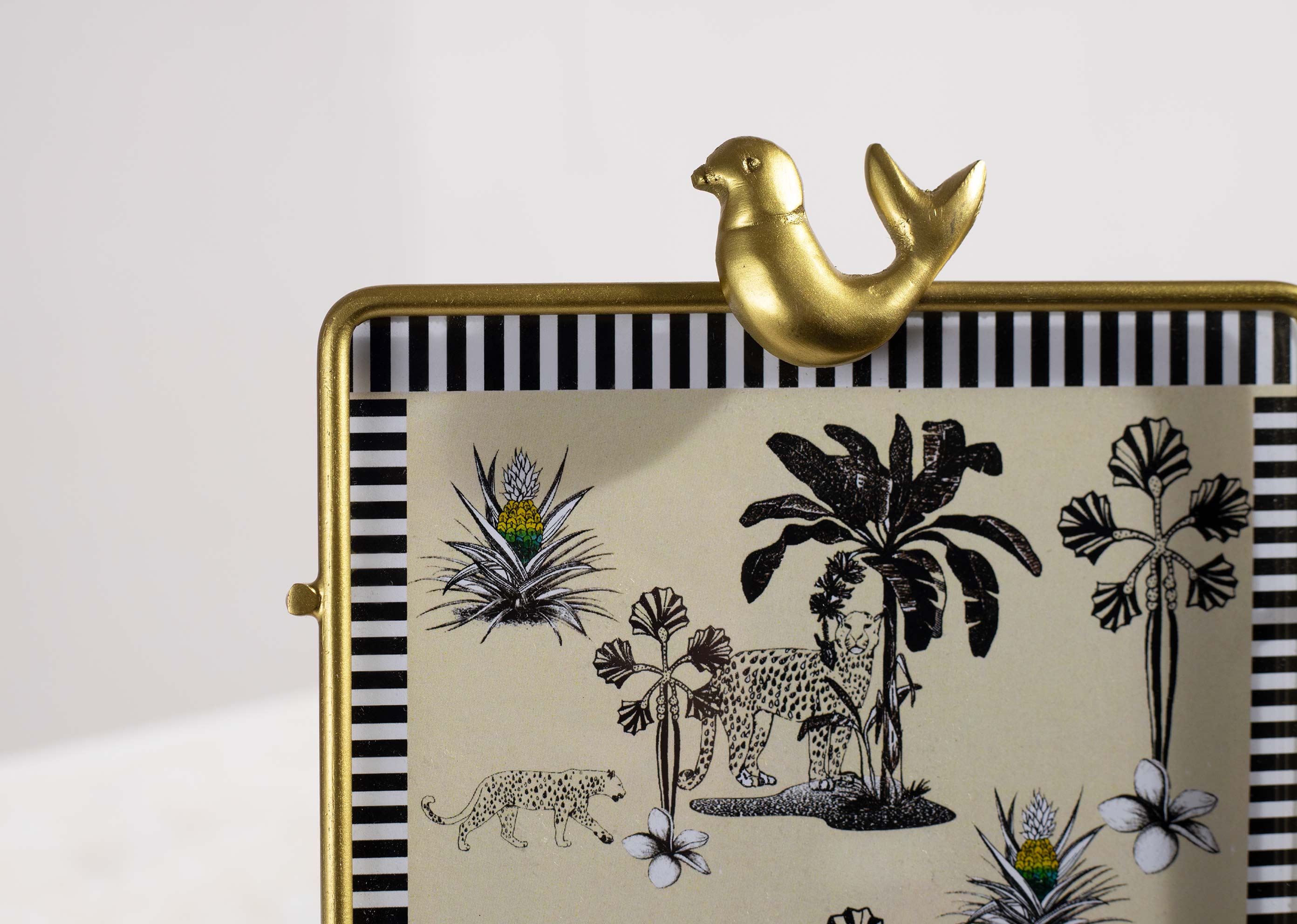 Tota Photo Frame - Image 3