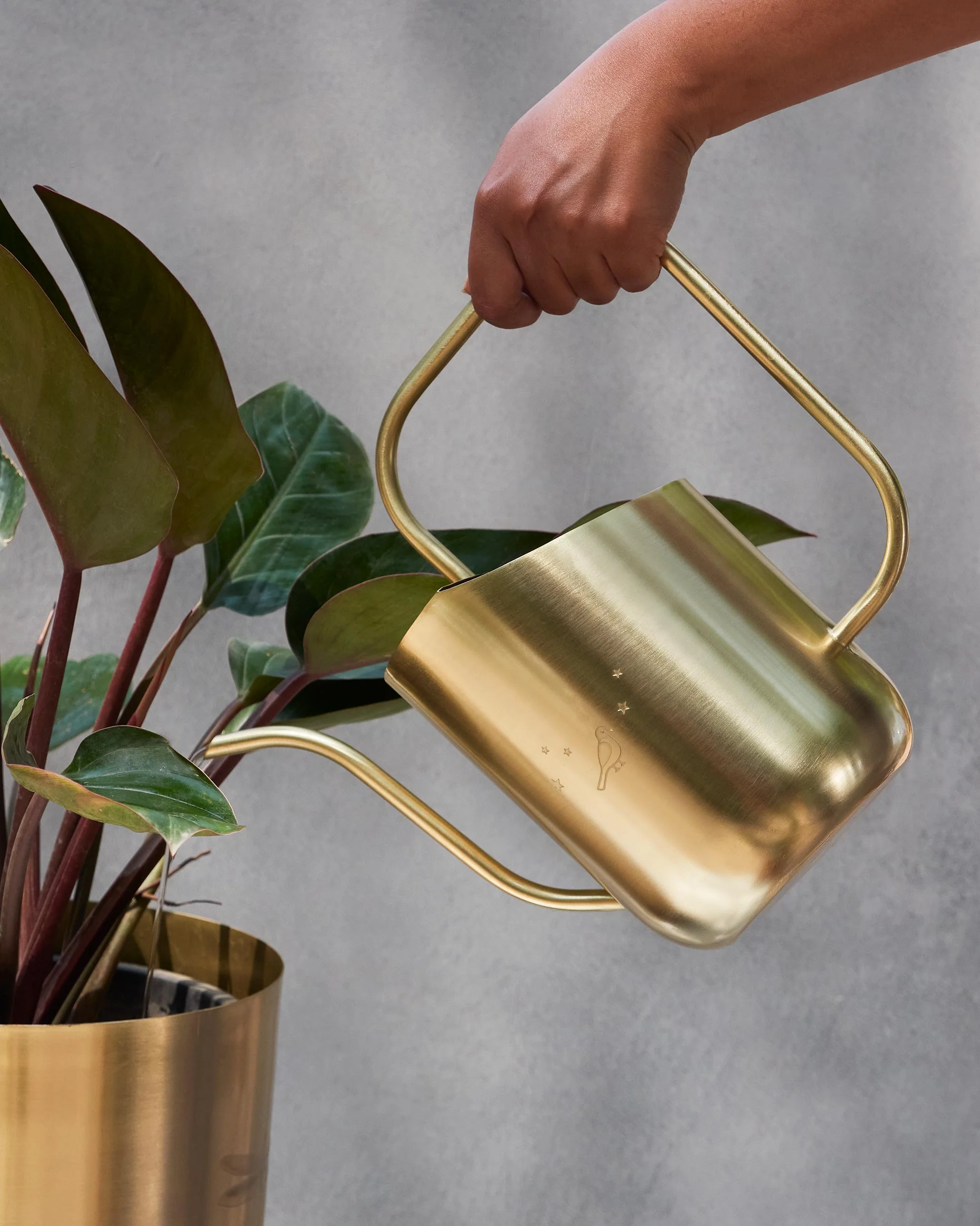 Tota Water Can - Image 4