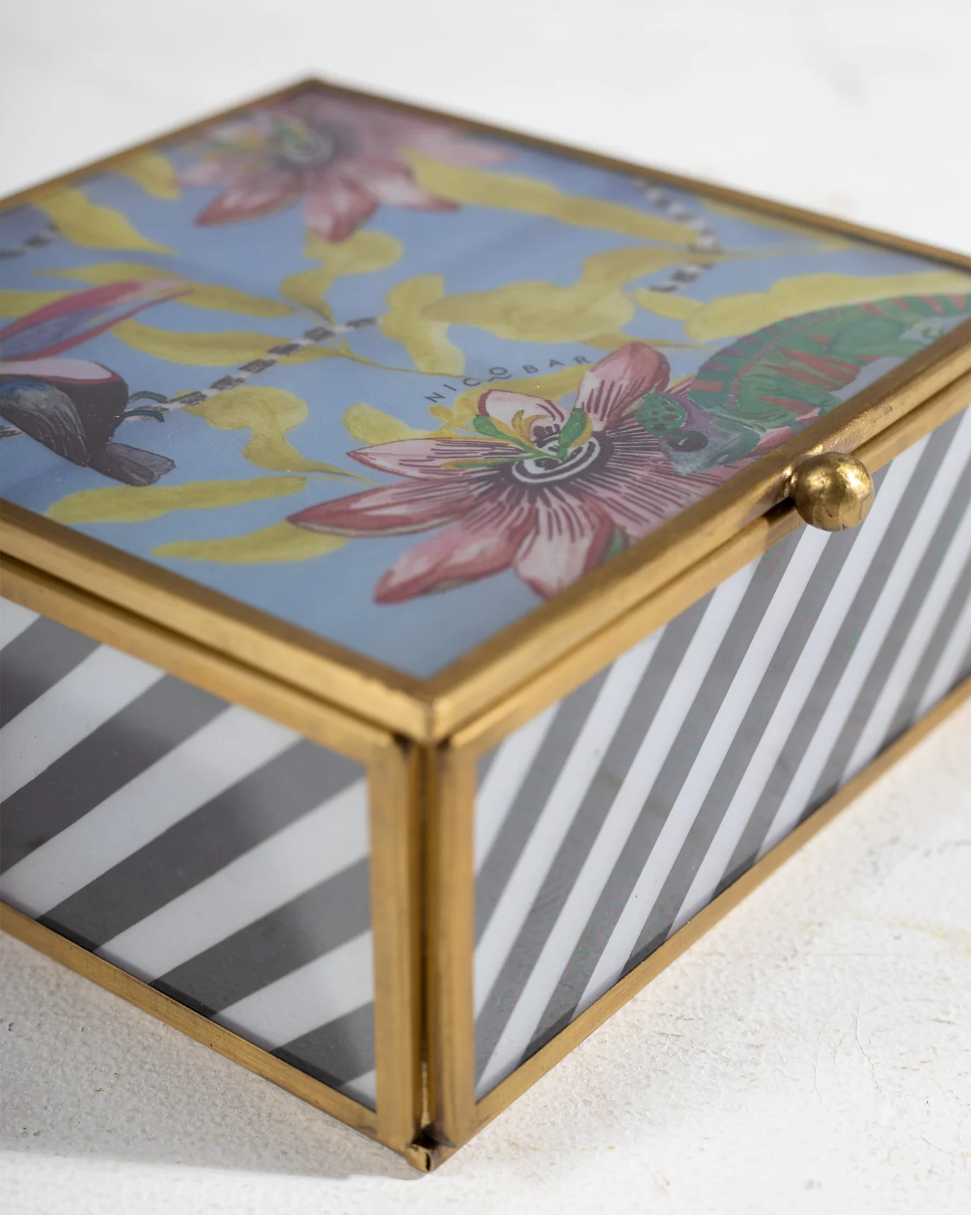 Toucan Box - Large - Image 5