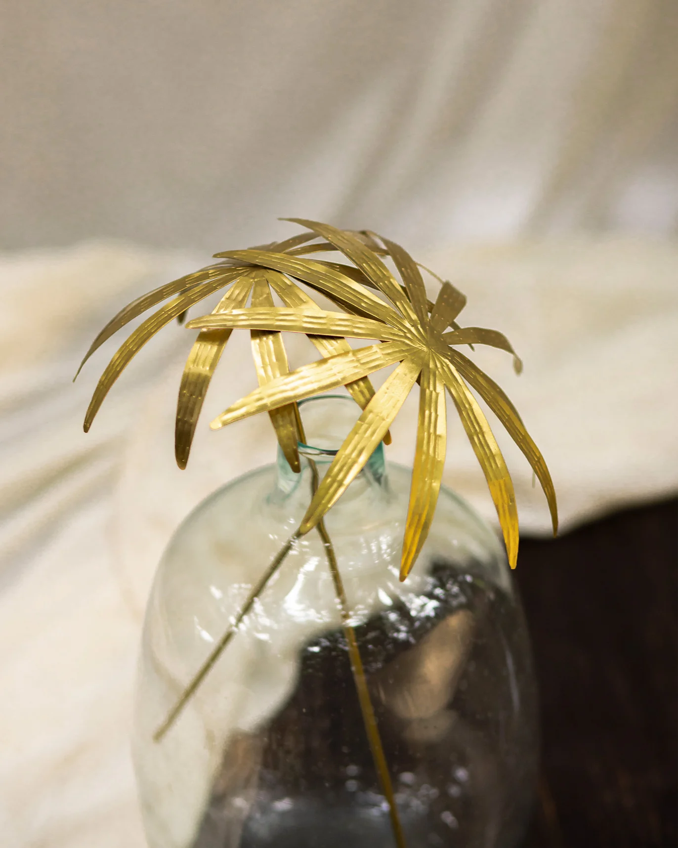 Umbrella Plant (Set of 2) - Image 3