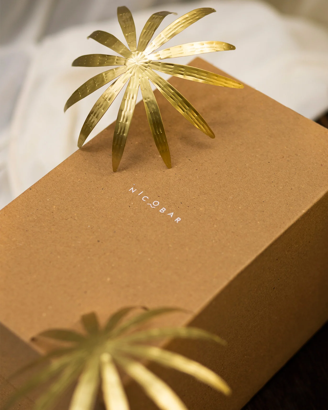 Umbrella Plant (Set of 2) - Image 4
