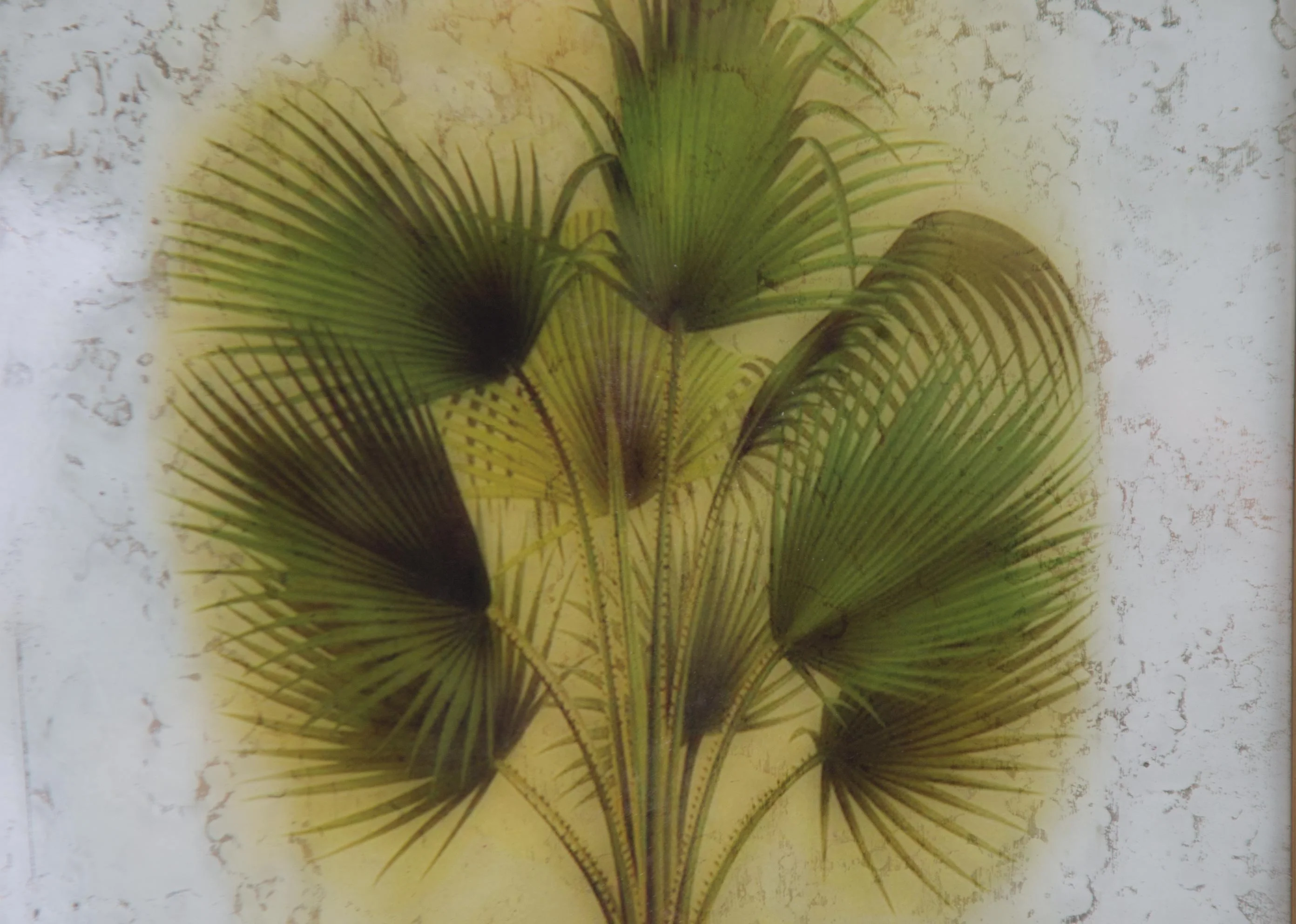Vintage Palm Frame - Image 3