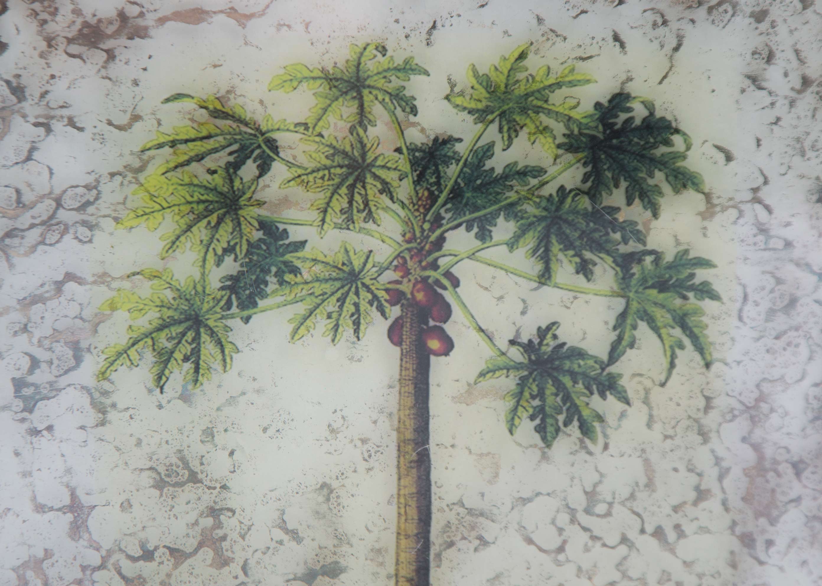 Vintage Papaya Frame - Image 3